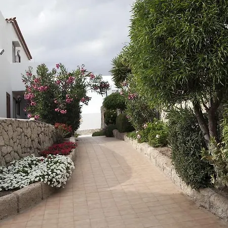 帕拉伊索皇家旅馆 * 美洲海滩