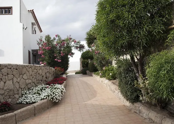 帕拉伊索皇家旅馆 * 美洲海滩